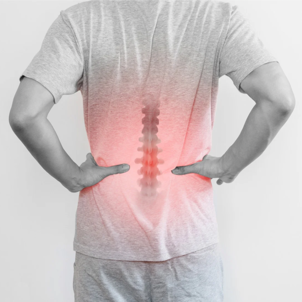 腰痛が治らない原因はどこ?筋肉ではなく“神経の誤作動”を徹底解説|和歌山市の整体