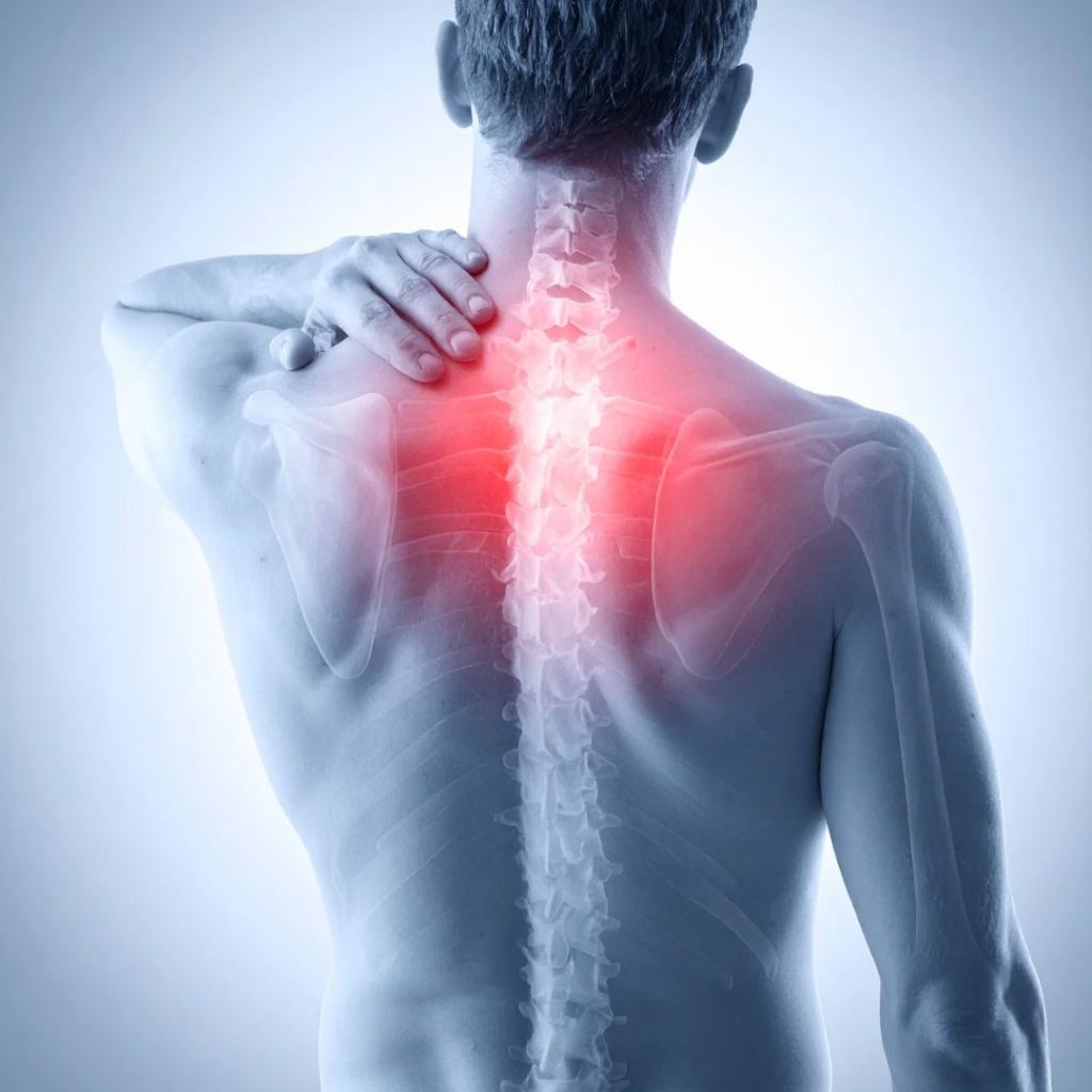 首から出ないの痛みが改善しにくい人に共通する体の使い方｜和歌山市の整体院