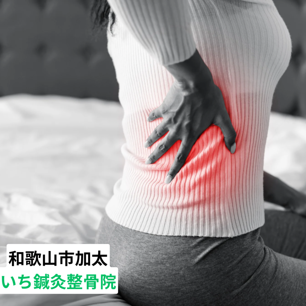 和歌山市の整体院が見る｜腰痛がある人ほどやってしまう日常習慣　いち鍼灸整骨院