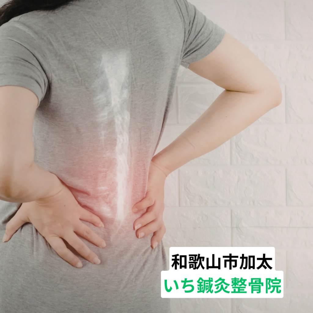 和歌山市の整体院が警鐘｜腰痛を我慢し続ける人ほど回復が遅れる理由　いち鍼灸整骨院
