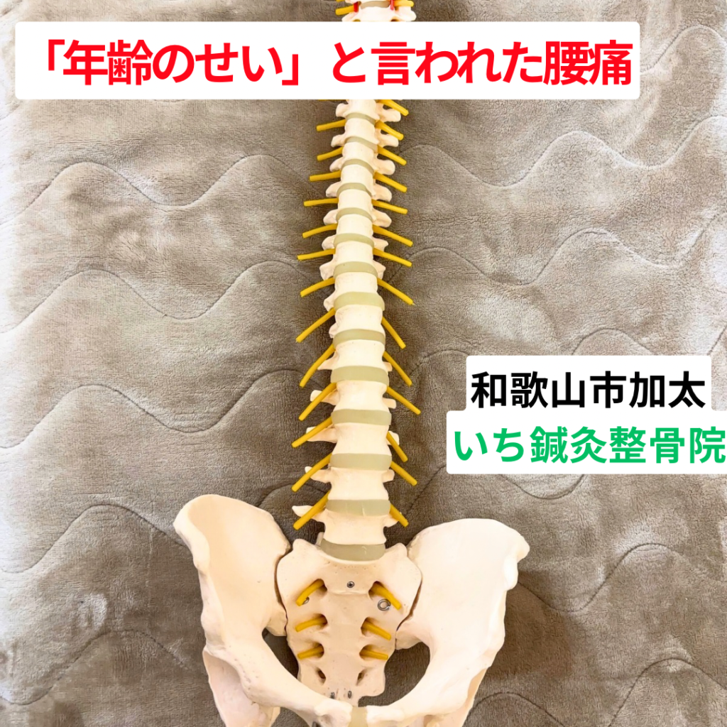 「年齢のせい」と言われた腰痛｜和歌山市の整体院の視点