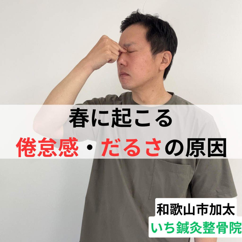 春に起こる倦怠感・だるさの原因｜和歌山市の整体院の見解