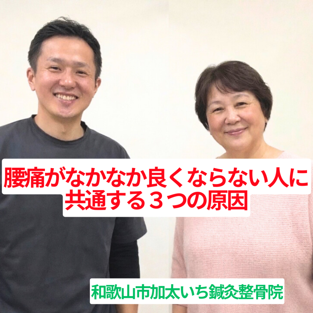和歌山市の整体院が解説|腰痛がなかなか治らない人に共通する3つの原因